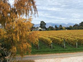 Vineyard Cottage in Blenheim on the Golden Mile, Blenheim